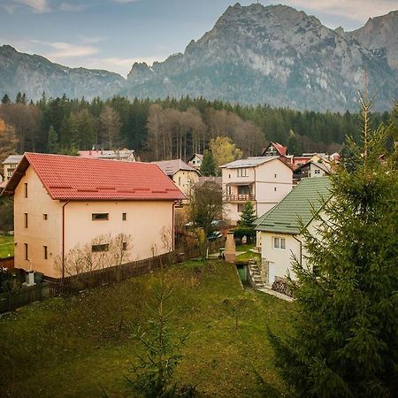 Casa Maia Otel Buşteni Dış mekan fotoğraf