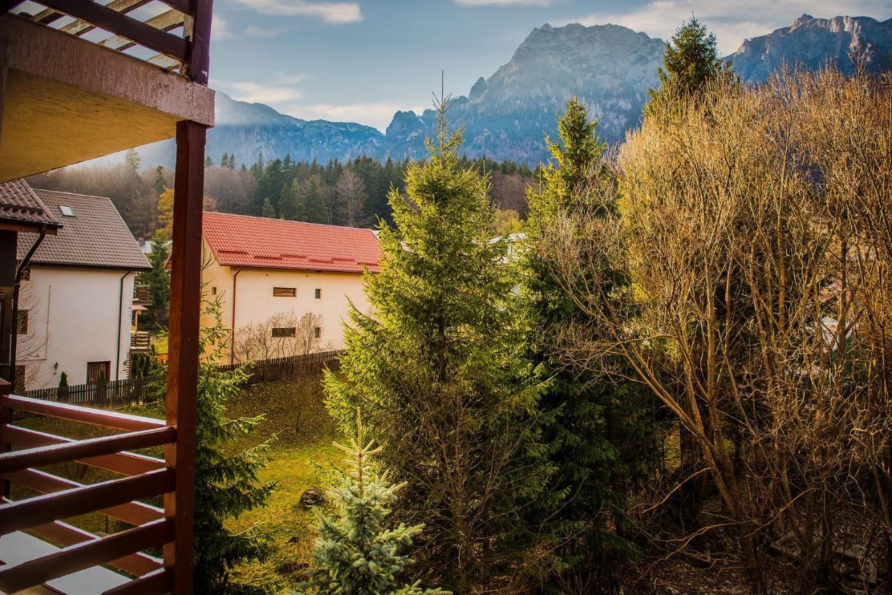 Casa Maia Otel Buşteni Dış mekan fotoğraf