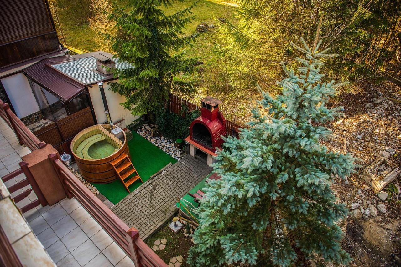 Casa Maia Otel Buşteni Dış mekan fotoğraf