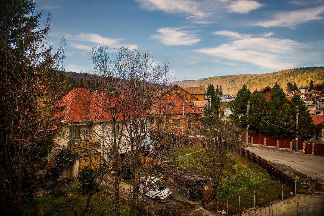 Casa Maia Otel Buşteni Dış mekan fotoğraf