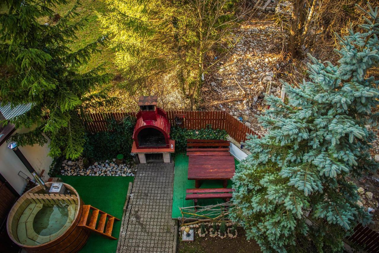 Casa Maia Otel Buşteni Dış mekan fotoğraf