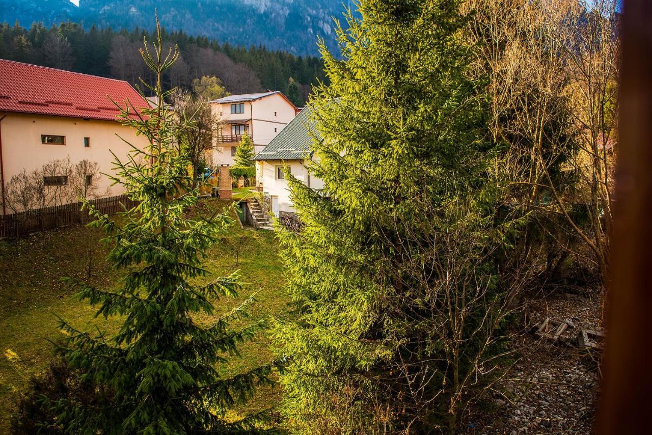 Casa Maia Otel Buşteni Dış mekan fotoğraf