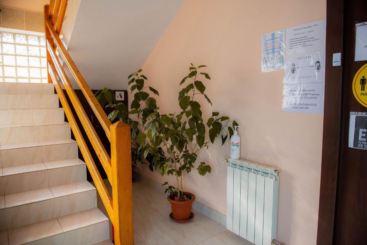 Casa Maia Otel Buşteni Dış mekan fotoğraf